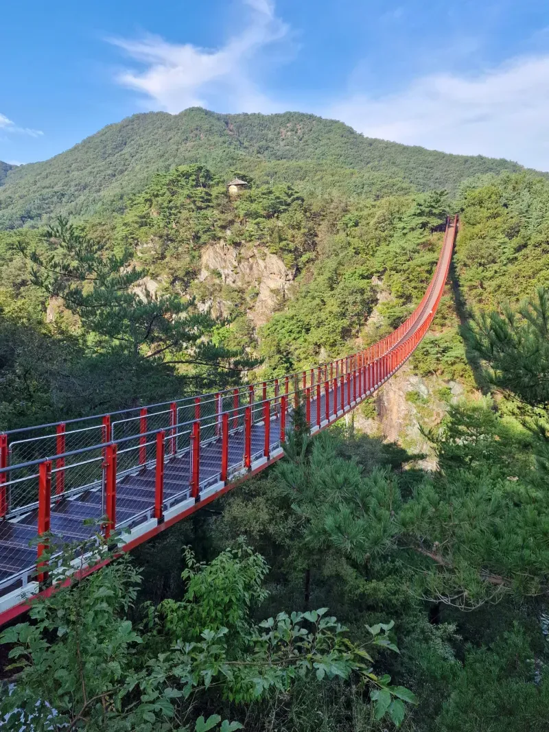 DMZ view 4